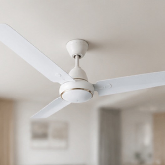 Ceiling Fans